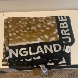 Burberry Scarf!